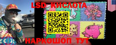 дмт Малгобек