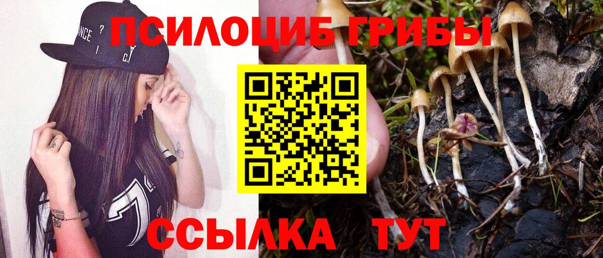 Галлюциногенные грибы Cubensis  Вход с VPN  Великий Новгород  Псилоцибиновые грибы MAGIC MUSHROOMS 