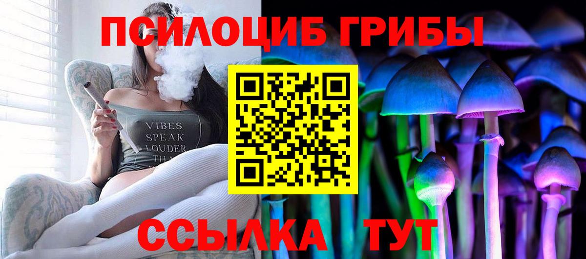 Галлюциногенные грибы Cubensis Великий Новгород