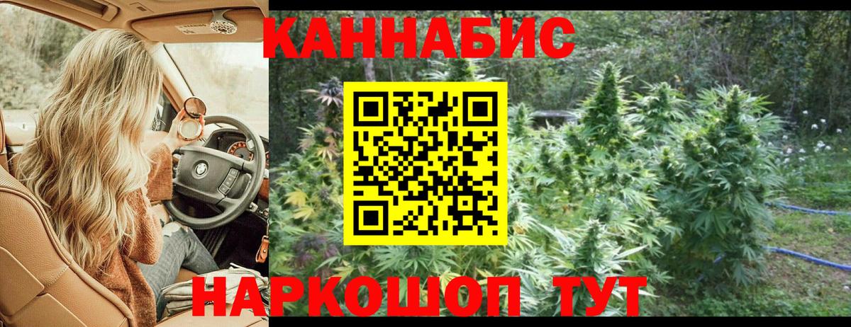 Великий Новгород  Канабис THC 21%  Марихуана план  Вход с VPN  Бошки Шишки планчик 